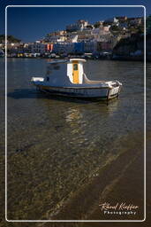 Ponza (157)