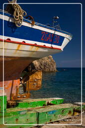 Ponza (168)