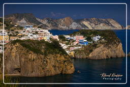 Ponza (216)