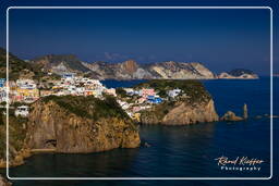 Ponza (217)