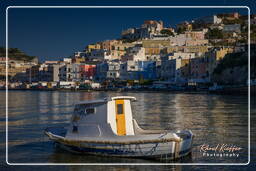 Ponza (296)