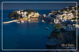 Ponza (321)