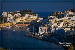 Ponza (343)