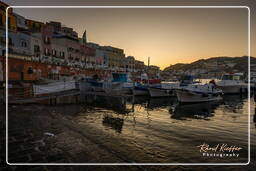 Ponza (411)