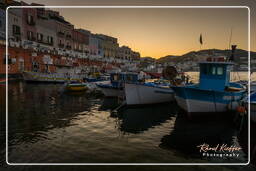 Ponza (418)