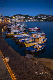 Ponza (549)