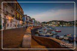 Ponza (572)