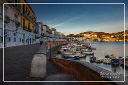 Ponza (633)