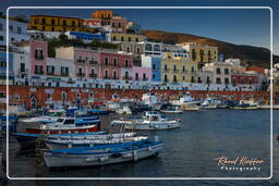 Ponza (643)