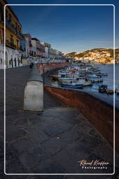 Ponza (663)