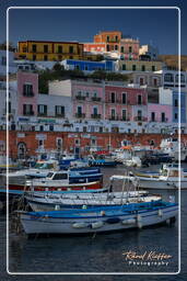 Ponza (701)