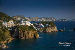 Ponza (796)