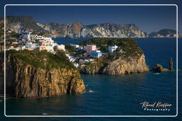 Ponza (801)