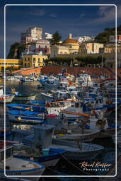 Ponza (902)