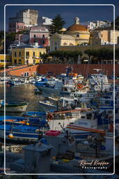 Ponza (909)