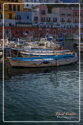 Ponza (992)