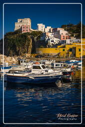 Ponza (994)