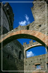 Via Appia Antica (7)