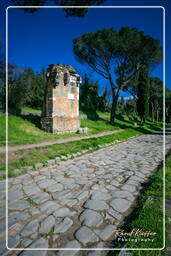 Appian Way (14)