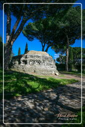 Appian Way (15)