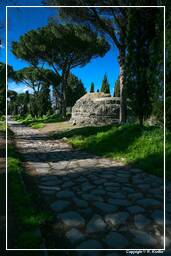 Appian Way (16)