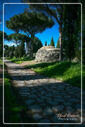 Appian Way (16)