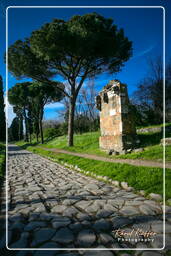 Appian Way (23)