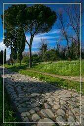 Appian Way (25)