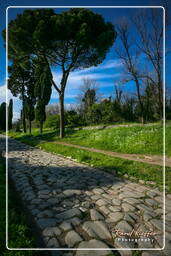 Appian Way (25)