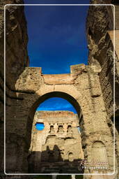 Thermes de Caracalla (4)