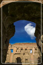 Thermes de Caracalla (6)