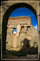 Thermes de Caracalla (7)