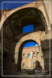 Thermes de Caracalla (12)