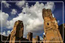 Baths of Caracalla (41)