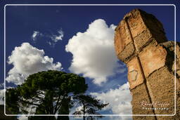 Baths of Caracalla (42)