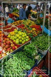 Campo dei Fiori (8) Markt