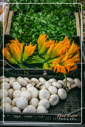 Campo dei Fiori (9) Mercado - Flores de abobrinha