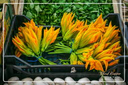 Campo dei Fiori (10) Mercado - Flores de abobrinha