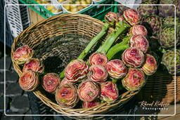 Campo dei Fiori (11) Mercado - Alcachofras