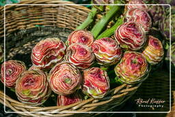 Market - Artichokes, Campo dei Fiori (12)