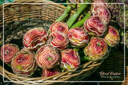 Campo dei Fiori (12) Market - Artichokes