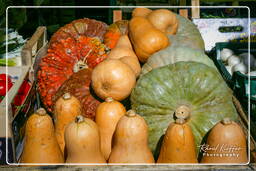 Campo dei Fiori (15) Markt