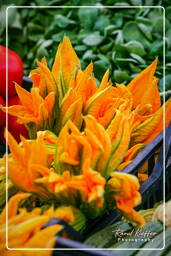 Market - Zucchini flowers, Campo dei Fiori (19)
