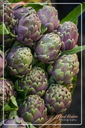 Campo dei Fiori (22) Market - Artichokes