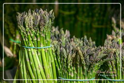 Campo dei Fiori (25) Mercato - Asparagi verdi