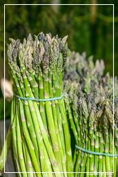 Campo dei Fiori (26) Market - Green asparagus