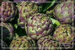 Campo dei Fiori (31) Mercado - Alcachofas