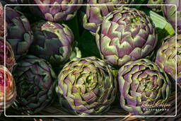 Campo dei Fiori (32) Mercato - Carciofi