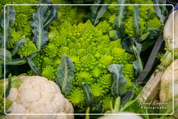 Campo dei Fiori (34) Market - Romanesco broccoli