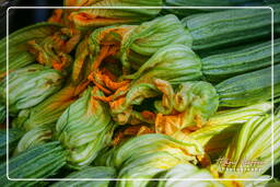 Campo dei Fiori (35) Markt - Zucchini